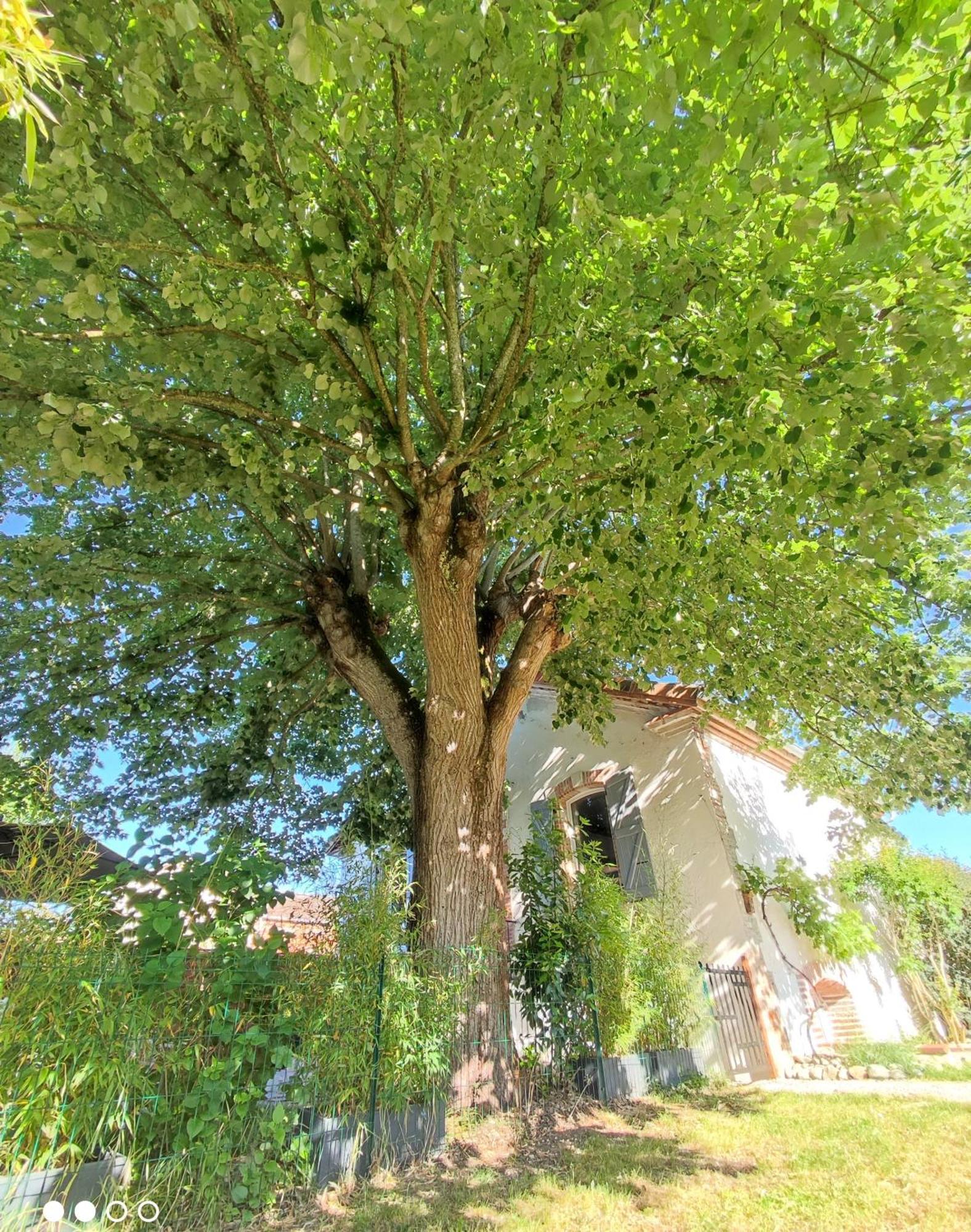 Villa Garona Avec Billard Proche Pyrenees Cazeres Buitenkant foto